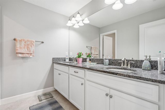 16312 HYDE MANOR DRIVE, Tampa, FL 33647