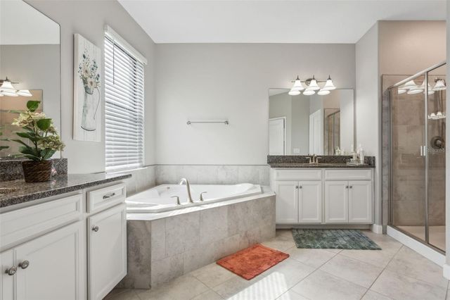 16312 HYDE MANOR DRIVE, Tampa, FL 33647