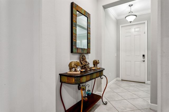 16312 HYDE MANOR DRIVE, Tampa, FL 33647