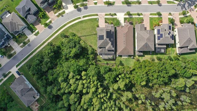 16312 HYDE MANOR DRIVE, Tampa, FL 33647