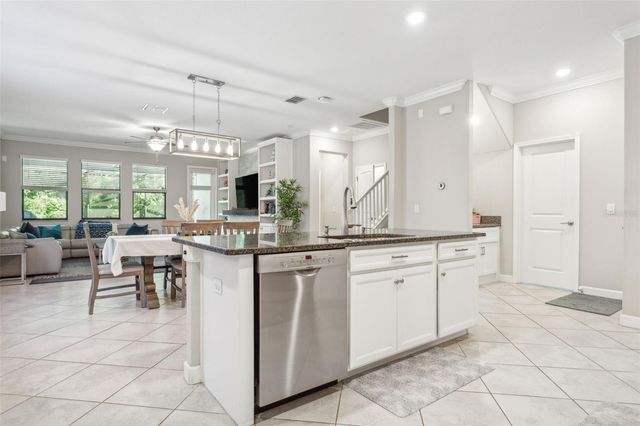 16312 HYDE MANOR DRIVE, Tampa, FL 33647