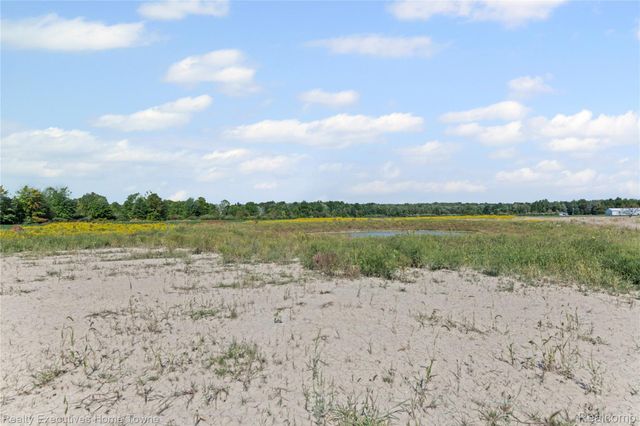 7082 SPRINGBORN Road, China Township, MI 48054