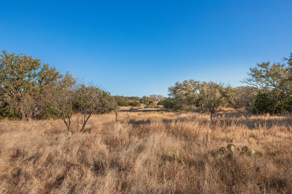 Image 21 of property listing at 8536 W FM 1222, Mason, TX 76856
