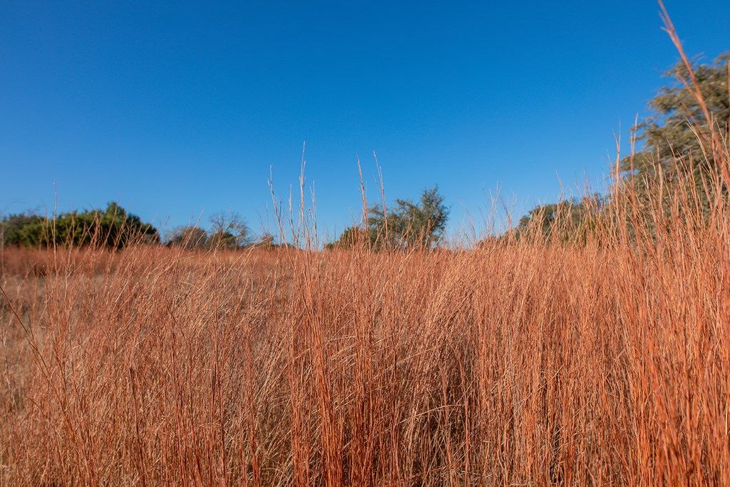 Image 22 of property listing at 8536 W FM 1222, Mason, TX 76856