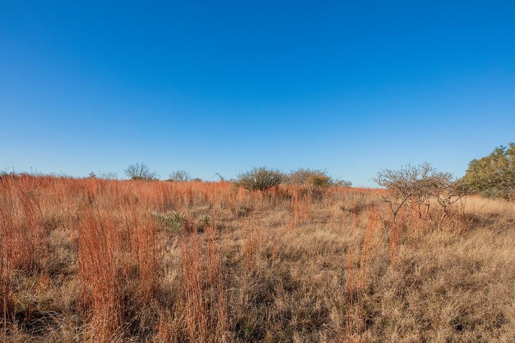 Image 28 of property listing at 8536 W FM 1222, Mason, TX 76856
