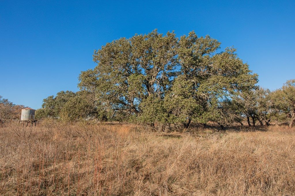 Image 37 of property listing at 8536 W FM 1222, Mason, TX 76856