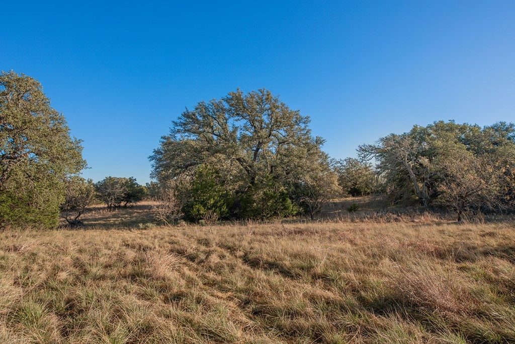 Image 45 of property listing at 8536 W FM 1222, Mason, TX 76856