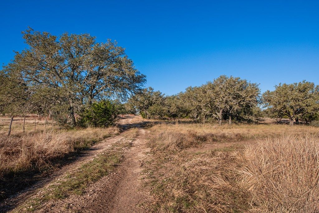 Image 46 of property listing at 8536 W FM 1222, Mason, TX 76856
