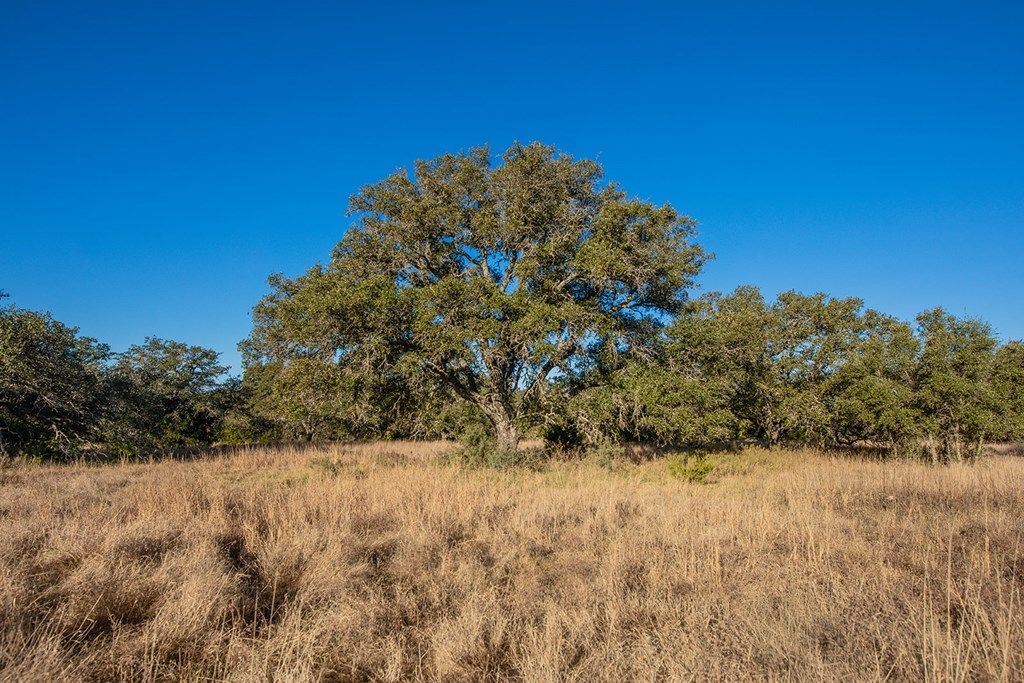 Image 51 of property listing at 8536 W FM 1222, Mason, TX 76856