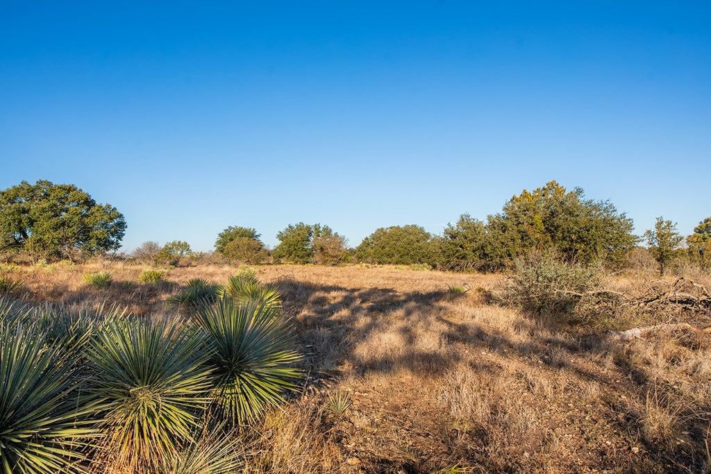 Image 57 of property listing at 8536 W FM 1222, Mason, TX 76856