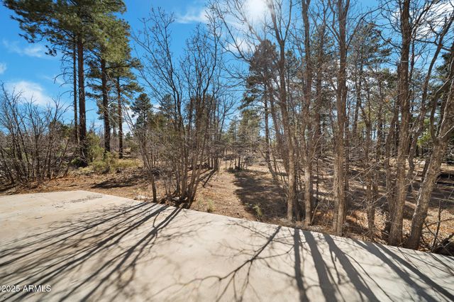 1234 Turkey Hill Road, Pinedale, AZ 85934