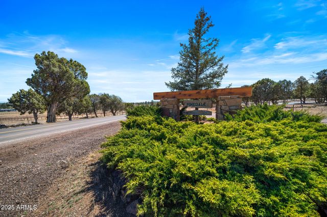 1234 Turkey Hill Road, Pinedale, AZ 85934
