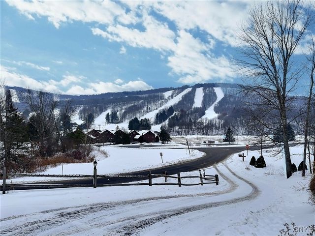 1969 Kypriotis Drive, Virgil, NY 13045