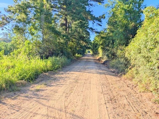 TBD County Road 3385, Lovelady, TX 75851