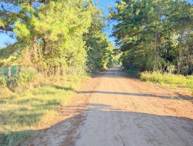 TBD County Road 3385, Lovelady, TX 75851