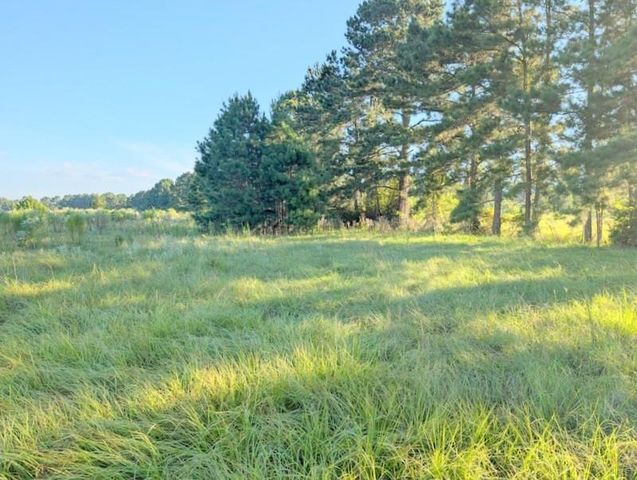 TBD County Road 3385, Lovelady, TX 75851