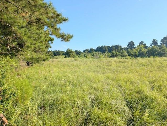 TBD County Road 3385, Lovelady, TX 75851