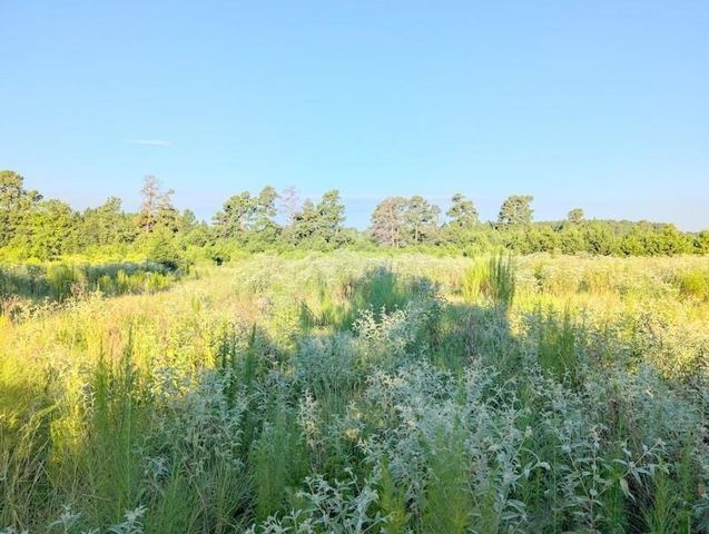 TBD County Road 3385, Lovelady, TX 75851