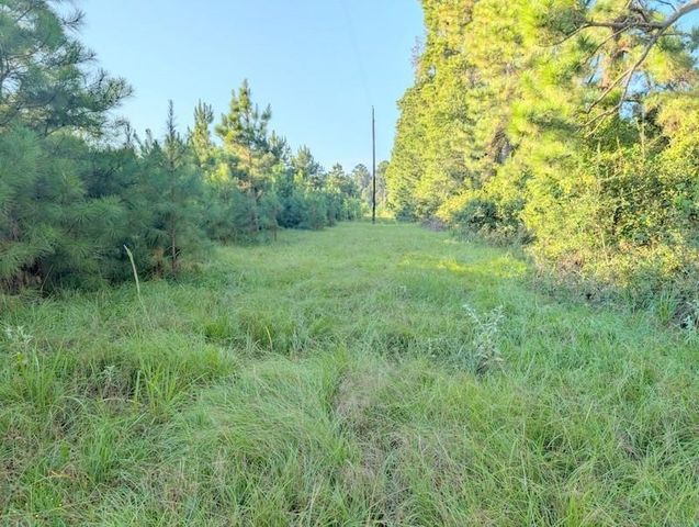 TBD County Road 3385, Lovelady, TX 75851