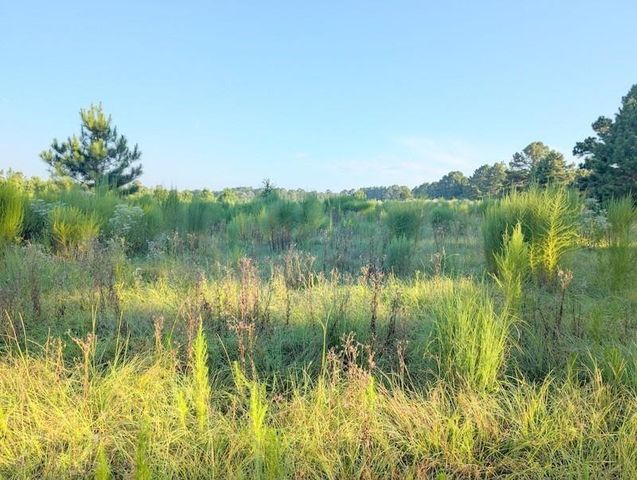 TBD County Road 3385, Lovelady, TX 75851