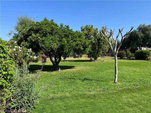 1904 E San Bernardino Avenue, San Bernardino, CA 92408