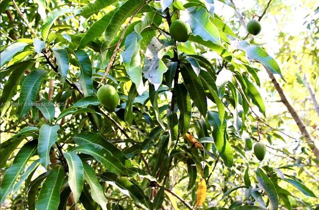 31050 SW 193rd Ave, Homestead, FL 33030