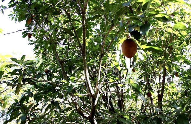 31050 SW 193rd Ave, Homestead, FL 33030