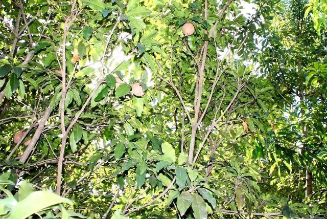 31050 SW 193rd Ave, Homestead, FL 33030