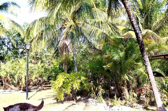 31050 SW 193rd Ave, Homestead, FL 33030