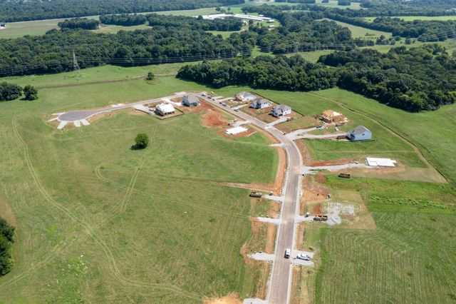 1417 Charles Dr, Chapel Hill, TN 37034