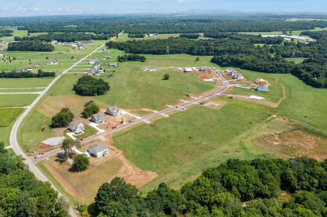 1417 Charles Dr, Chapel Hill, TN 37034