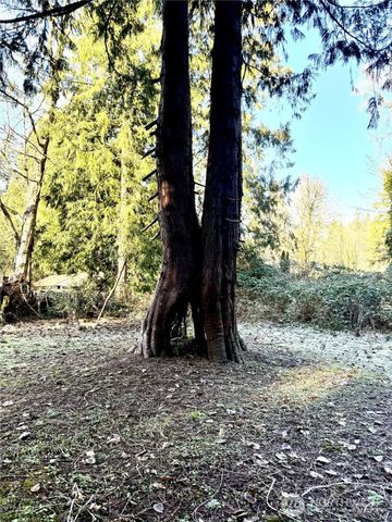 41671 Mountain View Lane, Concrete, WA 98237