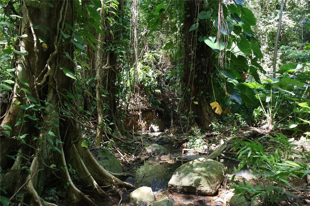 Image 14 of property listing at 9966 CARRETERA, Rio Grande, PR 00745