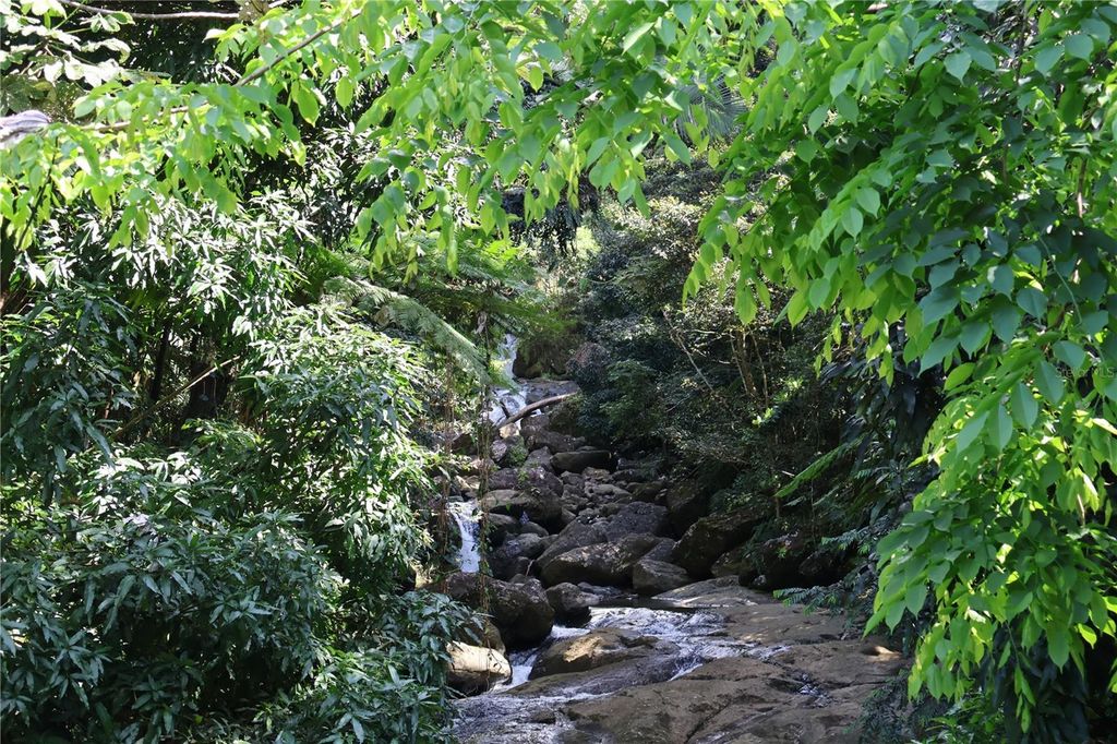 Image 15 of property listing at 9966 CARRETERA, Rio Grande, PR 00745