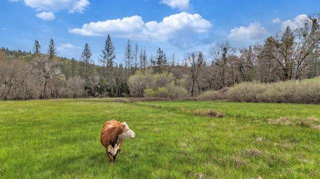 11625 Tyler Foote Rd, Nevada City, CA 95959