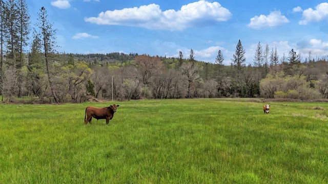 11625 Tyler Foote Rd, Nevada City, CA 95959