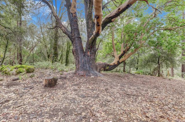 11625 Tyler Foote Rd, Nevada City, CA 95959