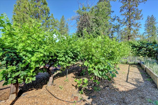 11625 Tyler Foote Rd, Nevada City, CA 95959