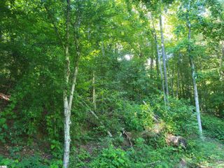 00 Hidden Valley Road, Marietta, SC 29661