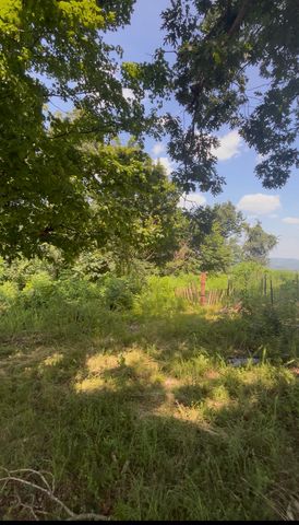 3630 Booker Ridge Rd, Mount Pleasant, TN 38474