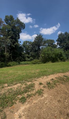 3630 Booker Ridge Rd, Mount Pleasant, TN 38474