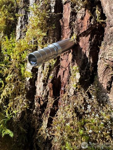 12832 Hunter Road SW, Rochester, WA 98579