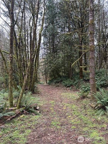 12832 Hunter Road SW, Rochester, WA 98579