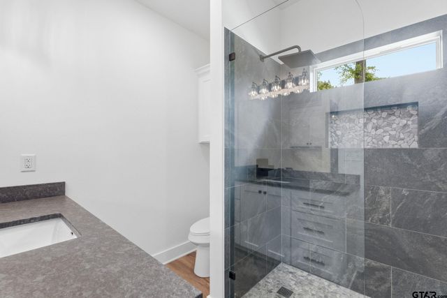 11029 Forest Lane, Frankston, TX 75763