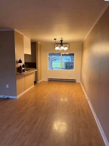 213 Casey Ave, Richland, WA 99352