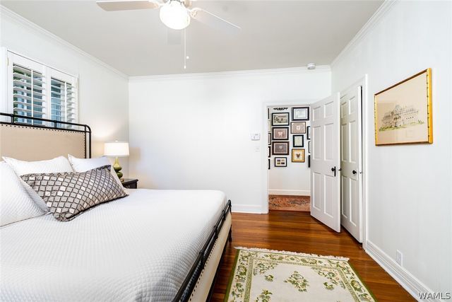 10 Buena Vista, Tuscaloosa, AL 35404