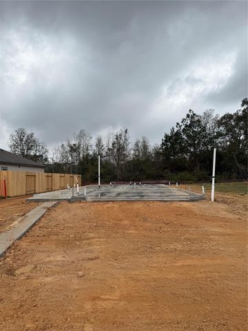 115 West Canopy Crossing Circle, Conroe, TX 77301