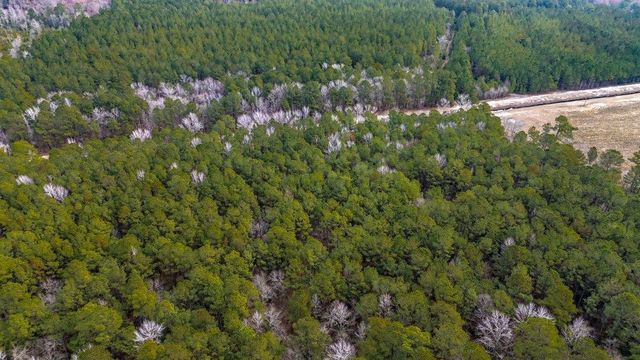 9060 Black Creek Rd., Nichols, SC 29581