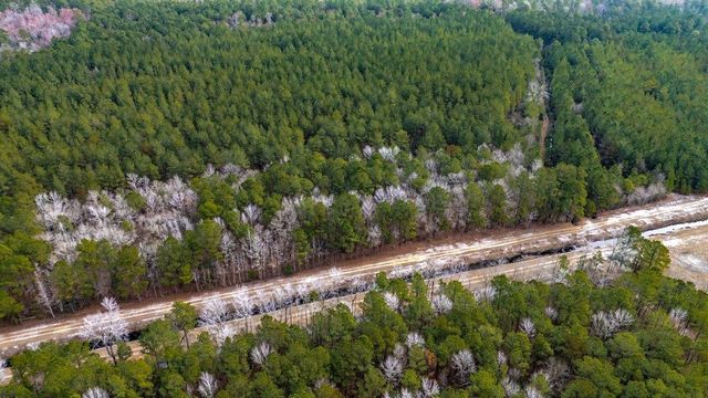 9060 Black Creek Rd., Nichols, SC 29581