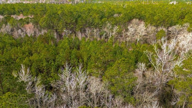 9060 Black Creek Rd., Nichols, SC 29581